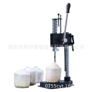 Manual Coconut Opener Coconut Oyster Shell Oyster Shell Oyster Shell Oyster Shell Oyster Shell Fruit
