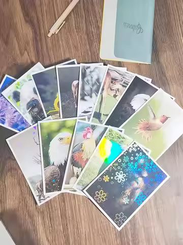 50 Sheets Adhesive Cold Lamination Film Plastic Hot Stamping On Photo Laminating Film for Protecting