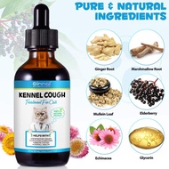 (FOR CATS) KENNEL COUGH TREATMENT Cat Flu Medicine