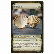 ISOPODS FOOD DISH - SCALLOP SHELLS