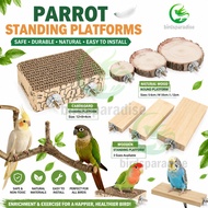 Bird Perch for lovebird Cockatiel Perch Platform Parrot perch for lovebirds accessories