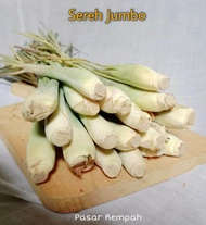 Sereh Jumbo Sereh Segar Serai