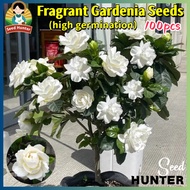 Fresh Fragrant Gardenia Seeds for Planting Flowers (Easy To Grow 100 Seed) Cape Jasmine Flower Seeds