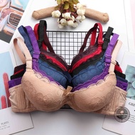 Sunny Lace Cotton Womenswear bra Size: 34-40B 1808