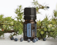 NEW SEALED doTERRA Juniper Berry 5ml Essential Oil CPTG Certified + FREE GIFT
