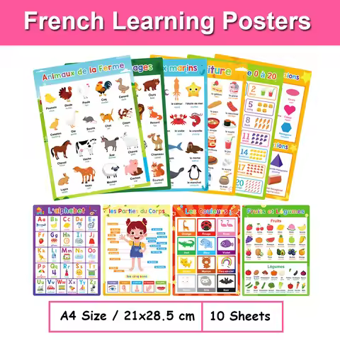 French English Bilingual Words Learning A4 Posters Charts for Kids Kindergarten Classroom Decoration