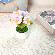 Mini Flower Pots Meaningful Gifts for Loved Ones February 14 March 8 October 20 November 21 (FLOWERS