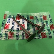 Viar Karya Valve 200cc / Jialing Valve 200cc / Tricycle Motor