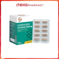 BIG Pharmacy |Cordyceps Cicadae| Eye Supplement | Treatment For Glaucoma | 护眼 | 干眼症 | 白内障 flour  uno