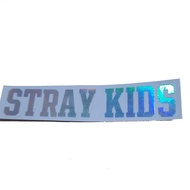 Straykids Felix Hyunjin Woojin Seungmin Bangchan Kpop Hologram Sticker