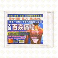 OTHER - 大泉 百燚痛貼 止痛貼 5片裝 (1115) #一條根 #肩頸腰痛