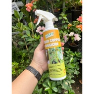 (SG Seller) Starxliquid - Liquid Copper Fungicide (Starx) 液体铜杀菌剂