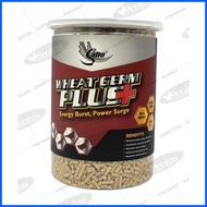 ✟ ♒ ✑ NEW PACKAGING Salto Wheat Germ Plus 700g for Conditioning for Gamefowl Rooster