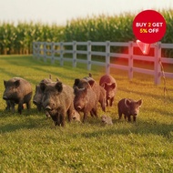 Waterproof Solar Alarm Lamp with Dog Barking Sound & Light, Animal Repeller, Anti-thief Warning, for