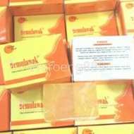 Waroeng888 - TEMULAWAK WHITE PLUS Soap