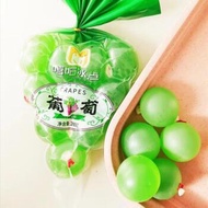 巨峰葡萄果冻 Kyoho Grape Jelly