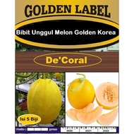 Bibit Unggul Melon Golden Korea | Benih Melon Golden Korea