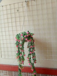 Bunga Priti +pot gantung tali /bunga juntai plastik /Bunga Gantung