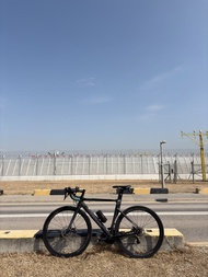 JAVA Siluro 3 碳纖公路單車 50碼