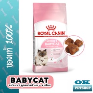หมดอายุ6/25 Royal canin Babycat 4 kg อาหารลูกแมวและแม่แมว ขนาด 4กก.