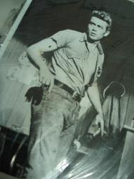 james dean 詹姆士狄恩 電影劇照 free easy lee 101z mccoy buco 巨人 伊甸園東 養子不教誰之過schott 天倫夢覺