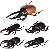 5 Simulation Beetle Model Solid Plastic Beetle Unicorn Insect Toy Children's Toy