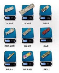 各式鼠尾草， 龍血草，秘魯聖木單紥