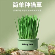 Cat Grass Potted Wheat Seeds Soil Culture Box Seedling Tray Lazy Cat Mint Young Cat Fur Snack Supplies