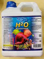 AquaNice H2O Protection 2000ml