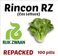 Lettuce Rincon RZ Pelleted Seeds by Rijk Zwaan  | Repacked 100pcs | Original Package 1000pcs