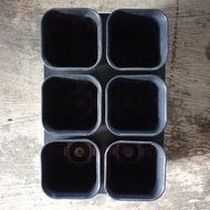 NKT SQUARE POT TRAY 7 NKT SQUARE POT 7 (WITH SQUARE POT 7 6 PCS black)