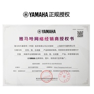 YAMAHA Yamaha Classical Guitar C80 CG122 CG142 CG162 39-inch veneer electric box Classical