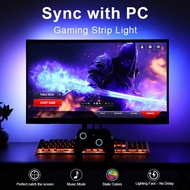 RGB IC Screen Sync LED Strip, 24/32 Inch Monitor Backlight, Real-Time Color Matching. Music & Flow E