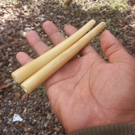 pipa rokok tulang kuning gading