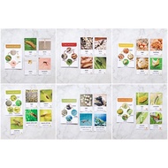 Life cycle card animal/ Life cycle card animal animal/ metamorphosis card butterfly turtle 2 ant mos