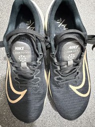 Nike Zoom Fly 5 （碳板入門）