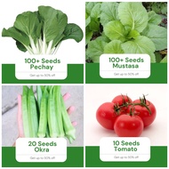 ❃Sale All in 4 in 1 Pack Seeds (Pechay, Mustasa, Okra, Kamatis) Vegetable Garden Pot Outdoor Plant