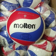 Volleyball Molten Volleyball Molten 5000