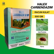 Halex Carbendazim Racun Kulat Fungicide Racun Kulat Padi Hawar Seludang Reput Tangkai Bintik Daun An