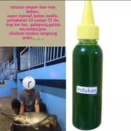 essen oplosan terbaik essen indukan essen babon essen galatama essen galapung essen ikan mas paling