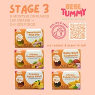 BEBETUMMY - STAGE 3 FROZEN BABY FOOD PORRIDGE & WESTERN 9months+