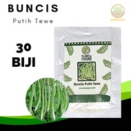 Benih Rumahan Buncis Putih Tewe Super Unggulan Benih Bibit Buncis Putih Tewe  Mudah di Tanam Mudah T