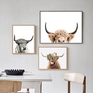 Farm Animal Highland Bull Wall Art Print and Poster, Highland Cow Canvas Painting Prints Boho 4F 0128