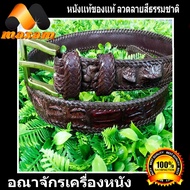 Genuine Crocodile Belt And Buckle เข็มขัดหนังจระเข้แท้ๆ เป็นส่วนของ โหนกกระดูกหลัง  สีน้ำตาล