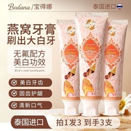 [Three Sticks] Bodana Thai Toothpaste Bodana Bird's Nest Toothpaste Solid Tooth Protect Gums Fresh B