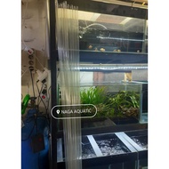 2M Long Aquarium Clear Pipe