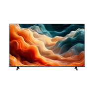 Toshiba東芝55" QLED 4K智能電視55M450SK