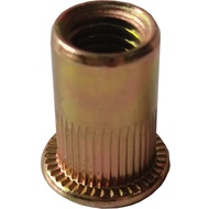 Column Pattern Pull Rivet Nut Galvanized Knurling Pulling Nut Blind Nut Nut Flat Head Pulling Nut/pu