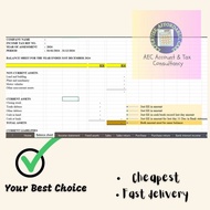 Income Tax Computation 2024 Template Auto Calculate Form B LHDN - financial statement LAPOR CUKAI BO