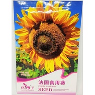 Edible Sunflower  Bunga Matahari - Edible